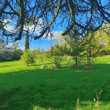 Carob W View Βίλα Καλιγάτα